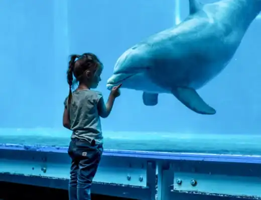 acquario_genova