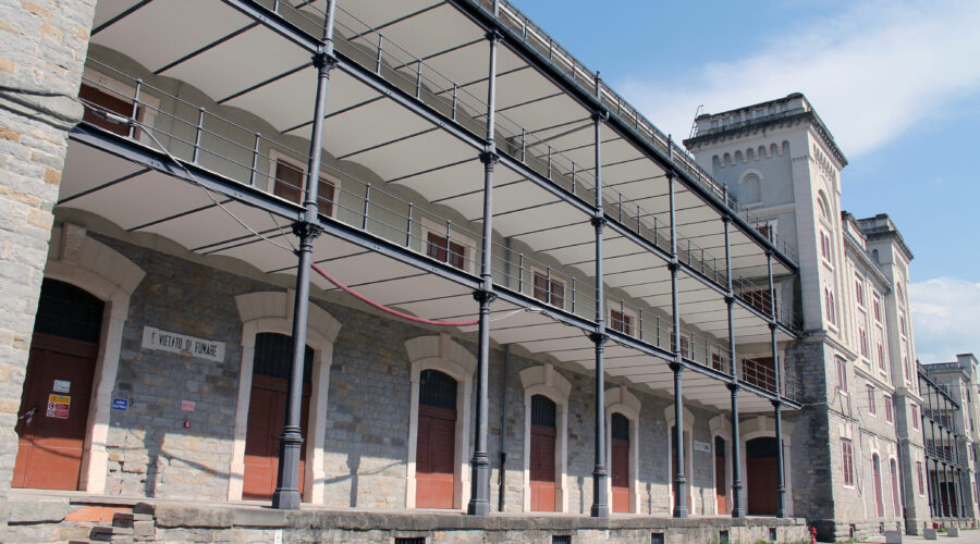 museo scienza trieste