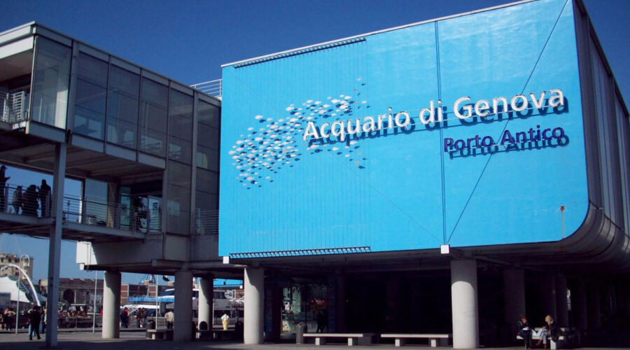 Visitare l’Acquario di Genova con i bambini: cosa non perdere