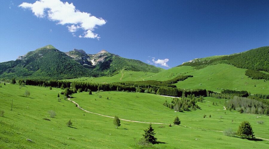monte bondone estate bambini
