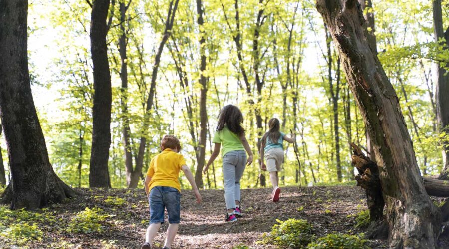 Vacanze al fresco con bambini: scelte intelligenti per godersi boschi, borghi e passeggiate facili in Italia